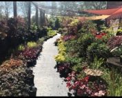 Stroll through the Broccolo Garden Center for some amazing deals, visit our newly opened B Friendly Farm, enjoy the butterflies and wildflowers.