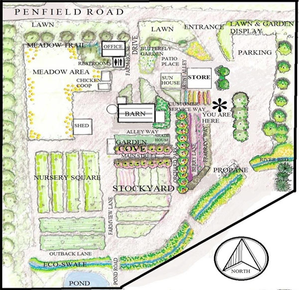 Broccolo Garden Center Illustrated Map