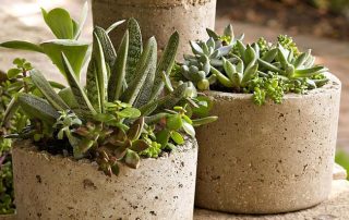 Create your own Hypertufa Pot at Broccolo Garden Center
