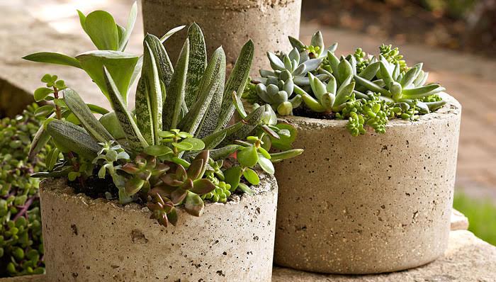 Create your own Hypertufa Pot at Broccolo Garden Center