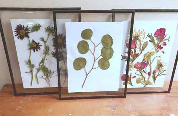 Framed dried plant and flower glass art created by "J" Fyfe of Broccolo Garden Center.