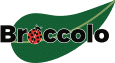 Broccolo Tree & Lawn Care Logo