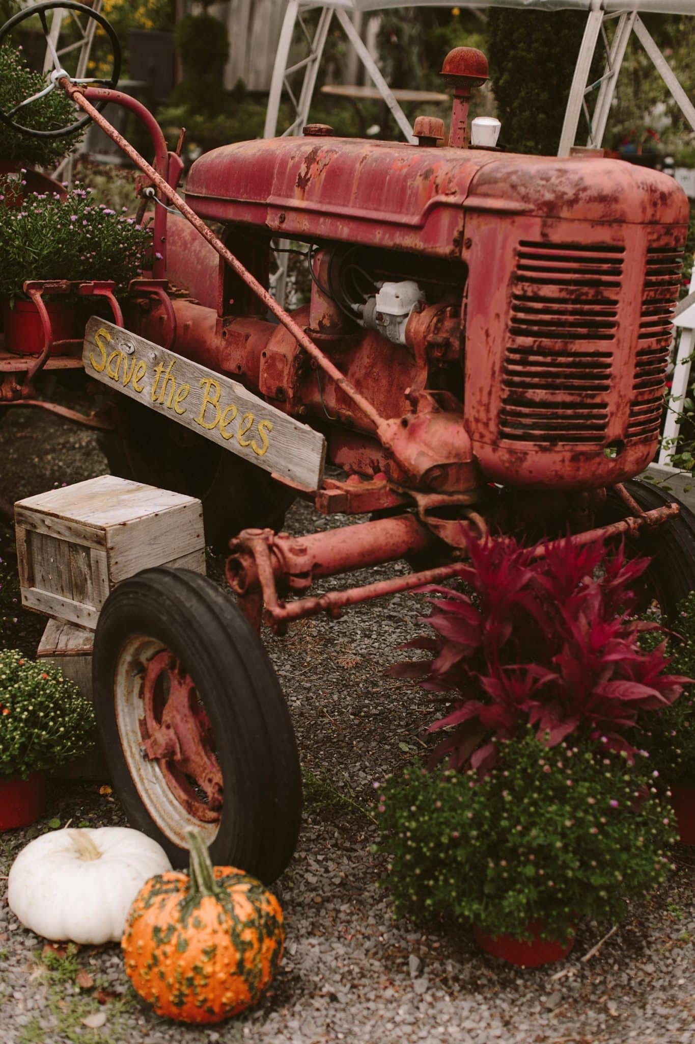 old red tractor with decorative pumpkins