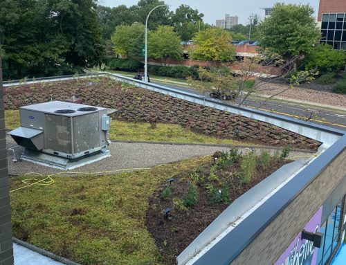Frederick Douglass Library Green Roof