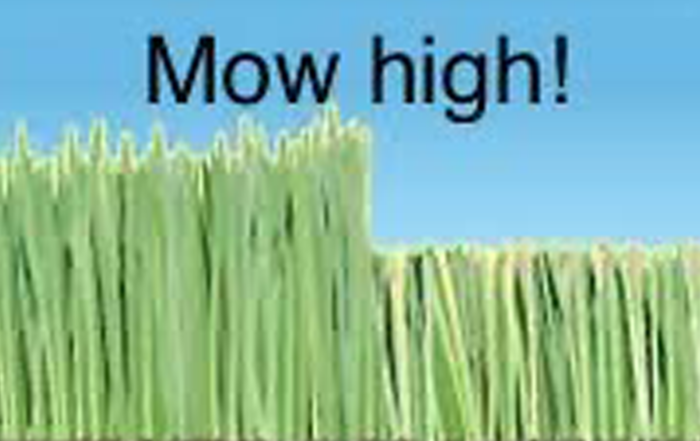 lawn mow high 2