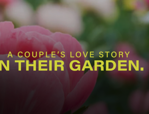 A Couple’s Love Story in Their Garden