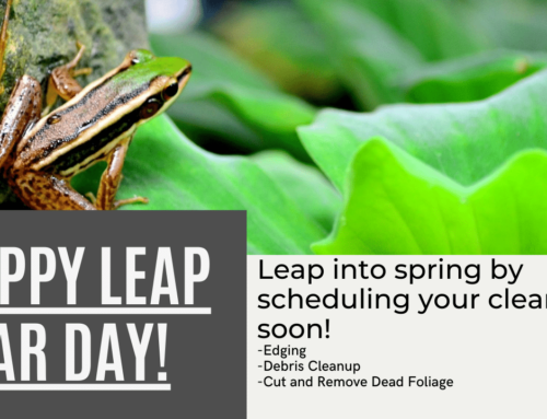 Happy Leap Year Day (Sorry we had to – we only get to use this once every 4 years)